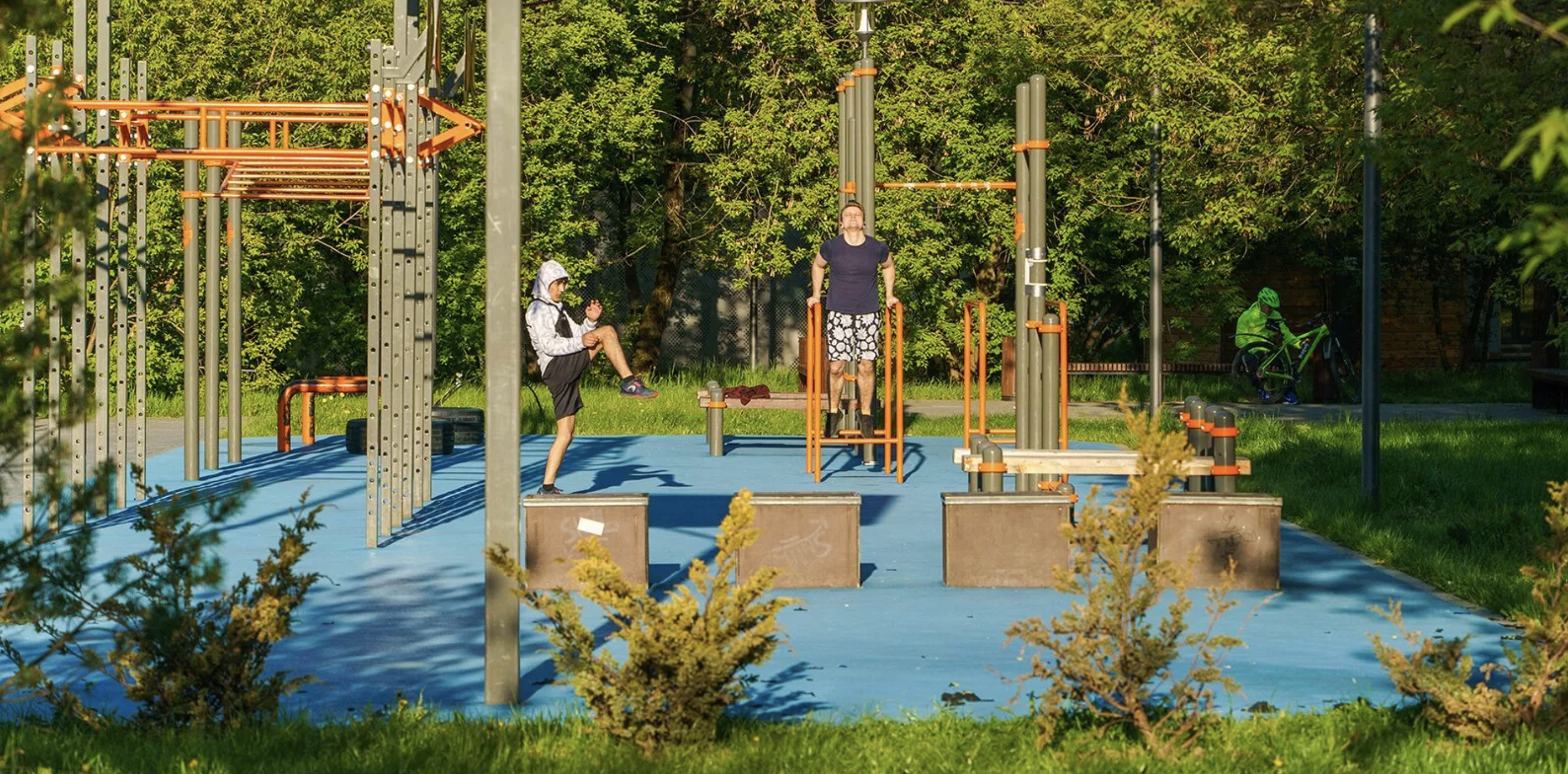 Силовые тренировки